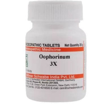 https://cdn.shopify.com/s/files/1/1857/6931/products/6oQiDVUaFG.jpg?v=1668851714
